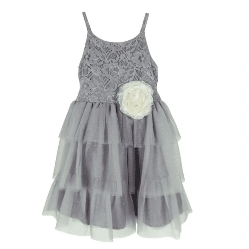 Pink & Violet Toddler Girls Sleeveless Lace Glitter Mesh Dress - Gray